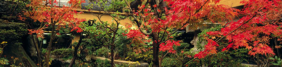 四季風情豊かな 日本庭園