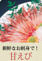 新鮮なお刺身で! 甘えび