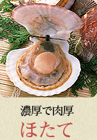 濃厚で肉厚 ほたて