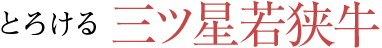 とろける舌触り 若狭牛
